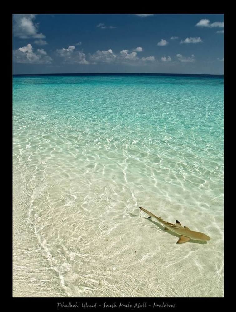 Crystal Beach Inn Malé Esterno foto
